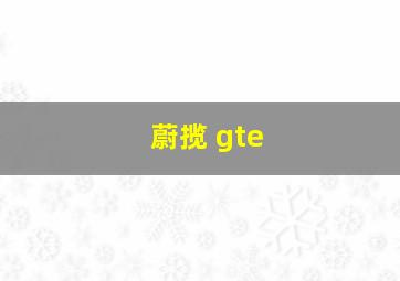 蔚揽 gte